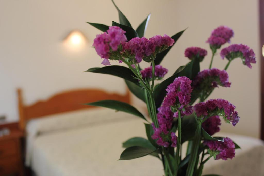 Hotel Abadi 코르도바 외부 사진